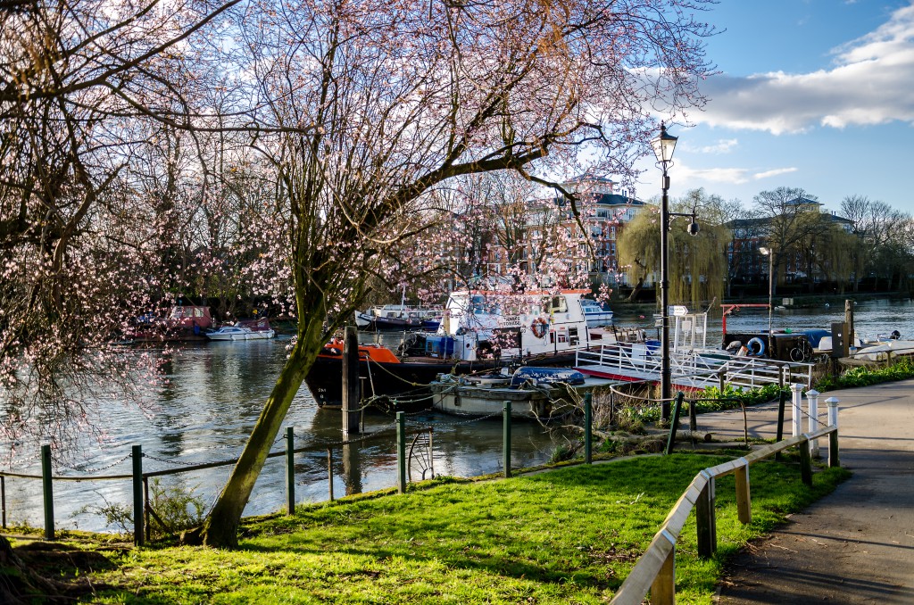 Richmond (12)