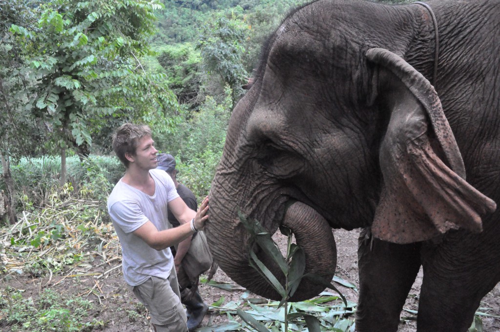 getting-to-know-your-elephant