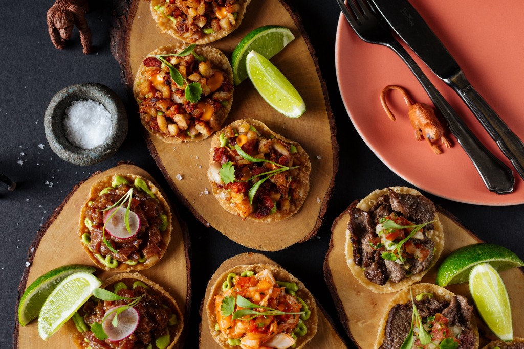 MNKYHSE_TostadaSelection(3)