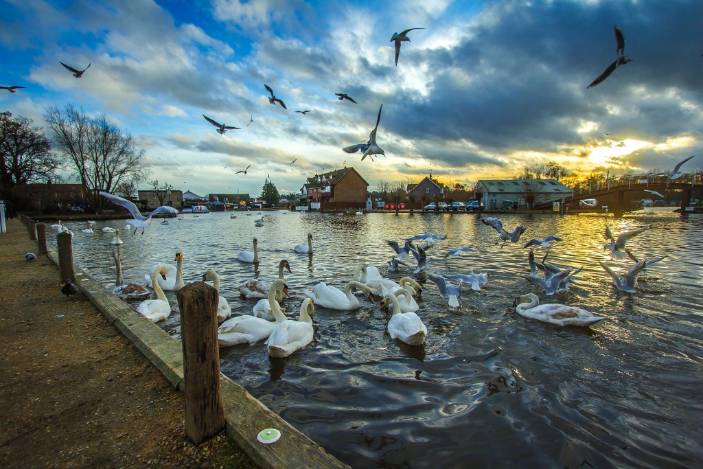 wroxham-1144162_1920