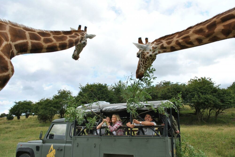 safari parks