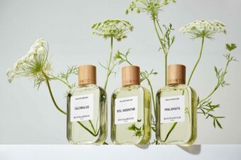 Новинки нишевых ароматов: Divina Marchesa Moresque и Roos & Roos Bel Absinthe