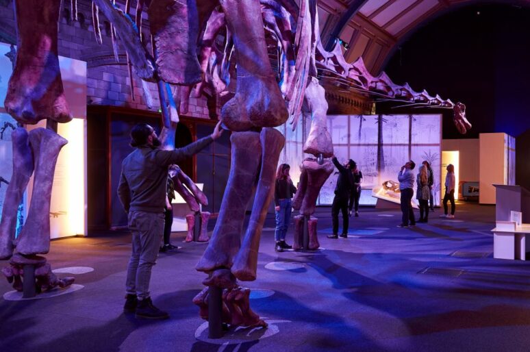 Выставка «Титанозавр: жизнь самого большого динозавра»