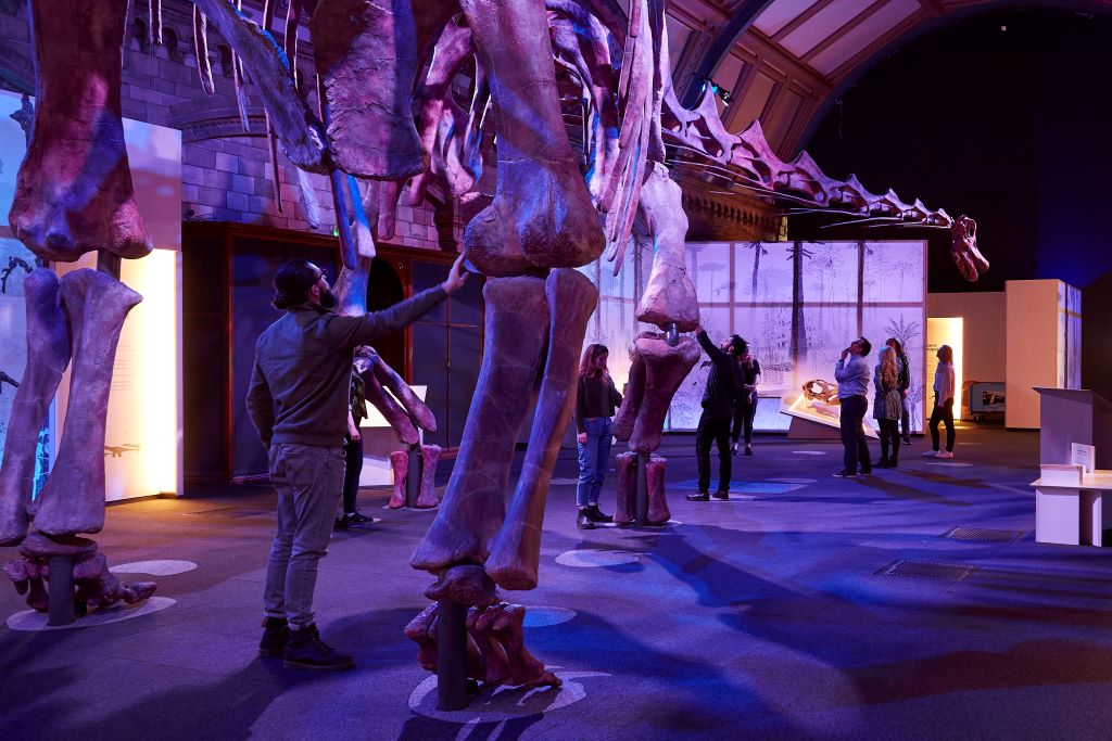 Patagotitan в Музее естественной истории