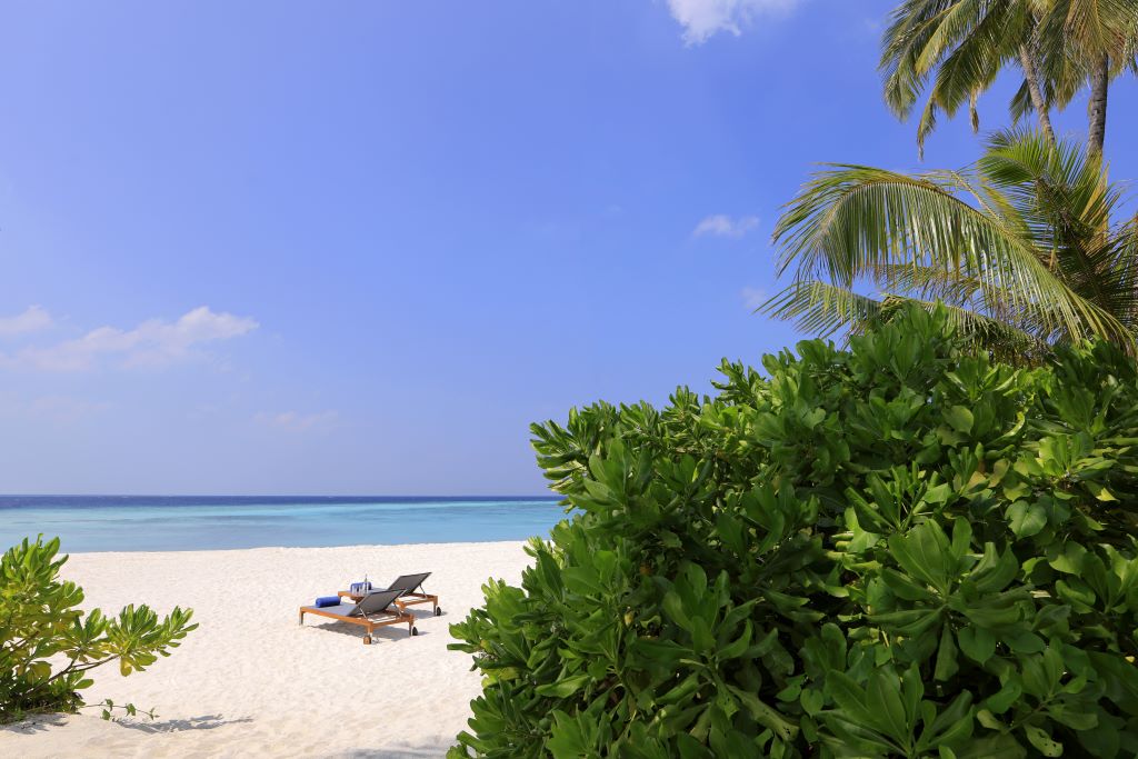 Avani-Fares-Maldives-Beach