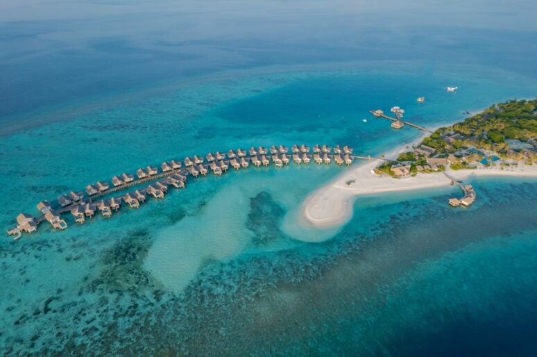 Отель Cora Cora Maldives и история голландской луковицы